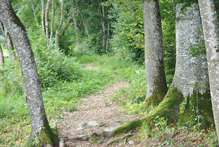 Catéchisme | Camp de catéchisme, 2014